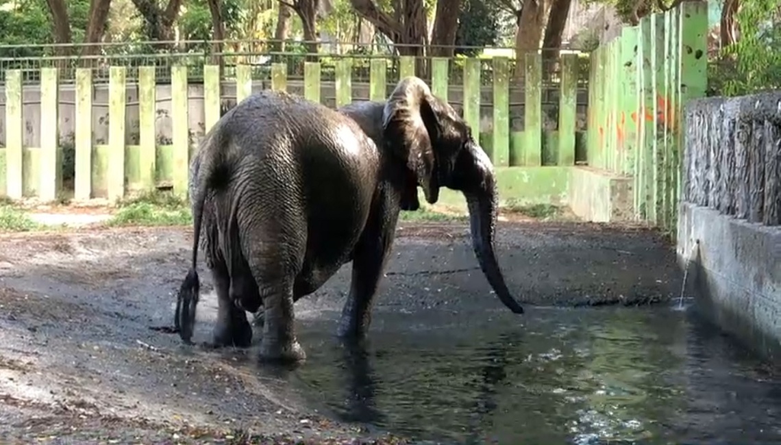 壽山動物園整裝再出發五月起休園暫別高雄市民 波新聞 奧丁丁新聞owlnews