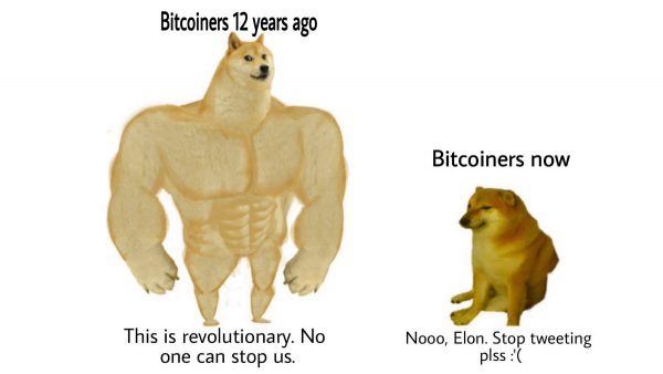 四百萬美元迷因nft Doge 狗狗迷因來源 柴犬kabosu 於zora 發行nft 由pleasrdao 標下 奧丁丁新聞owlnews