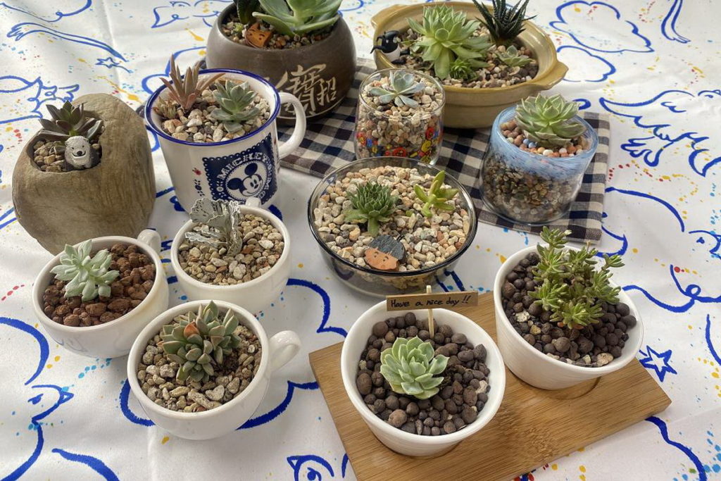 療癒植栽使用二手盆器製作而成,兼具環保理念。