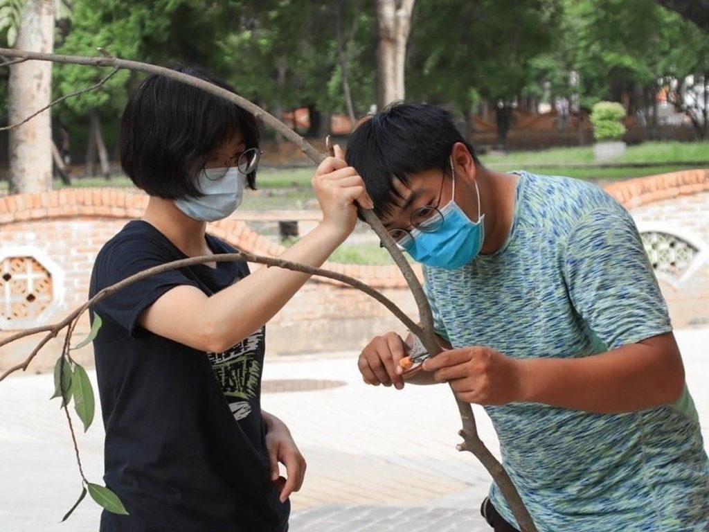 樹枝修剪位置
