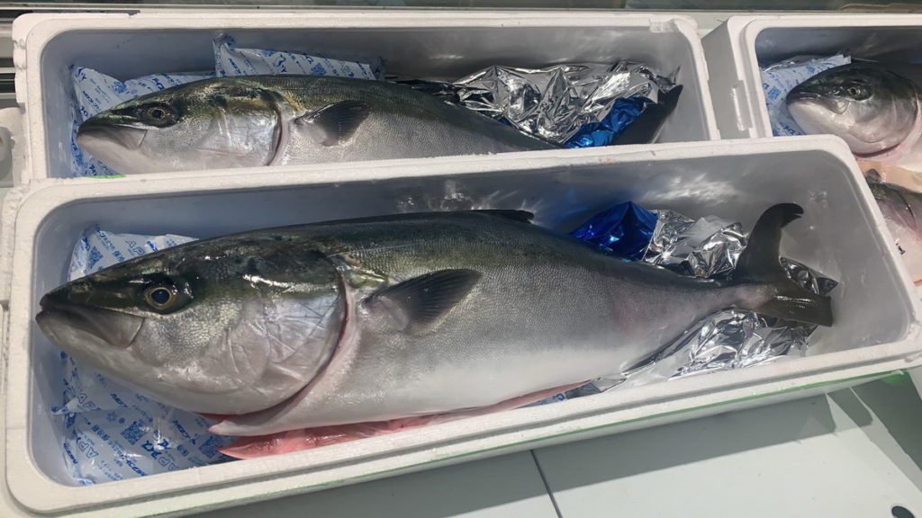 微風超市 日本大分縣鰤魚 雙十節空運來台