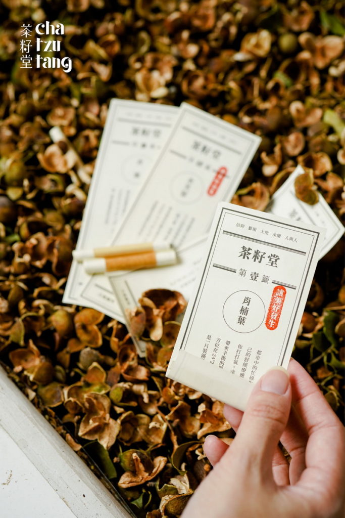 隱藏在苦茶籽池中的詩籤,探索屬於自己的命定詩籤。