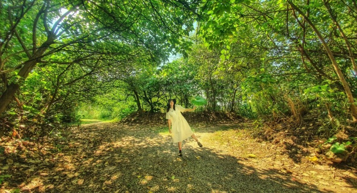 新北秘境-「大漢溪濕地綠色隧道」