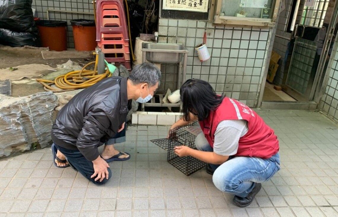 社區重金捕抓流浪貓 動保處協助TNVR