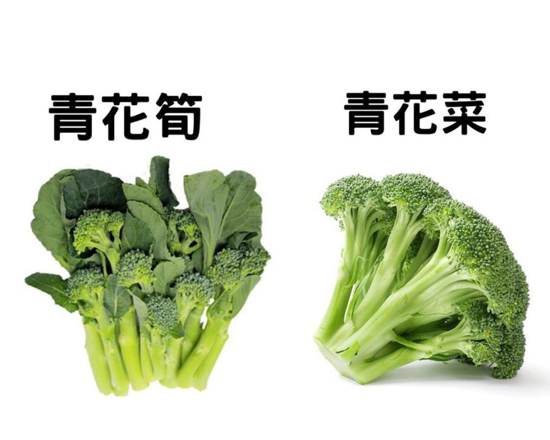 雲林縣農業處長臉書青花筍不是青花菜 奧丁丁新聞owlnews