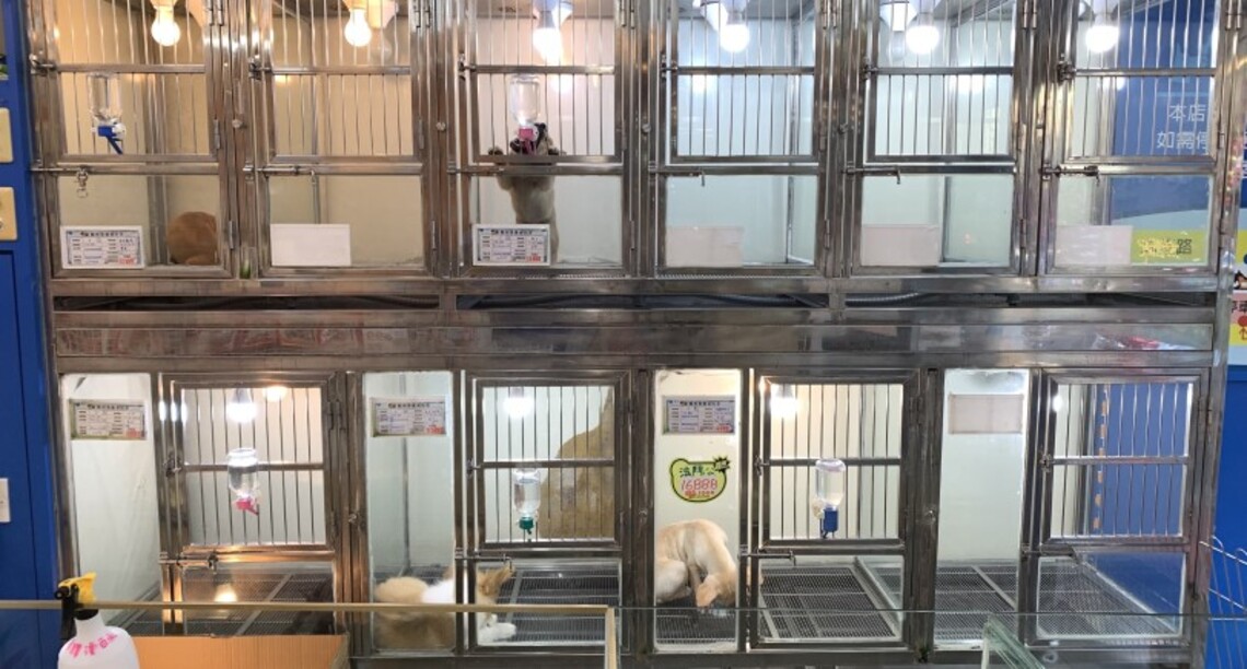認明合法寵物店 杜絕黑心動物製造所