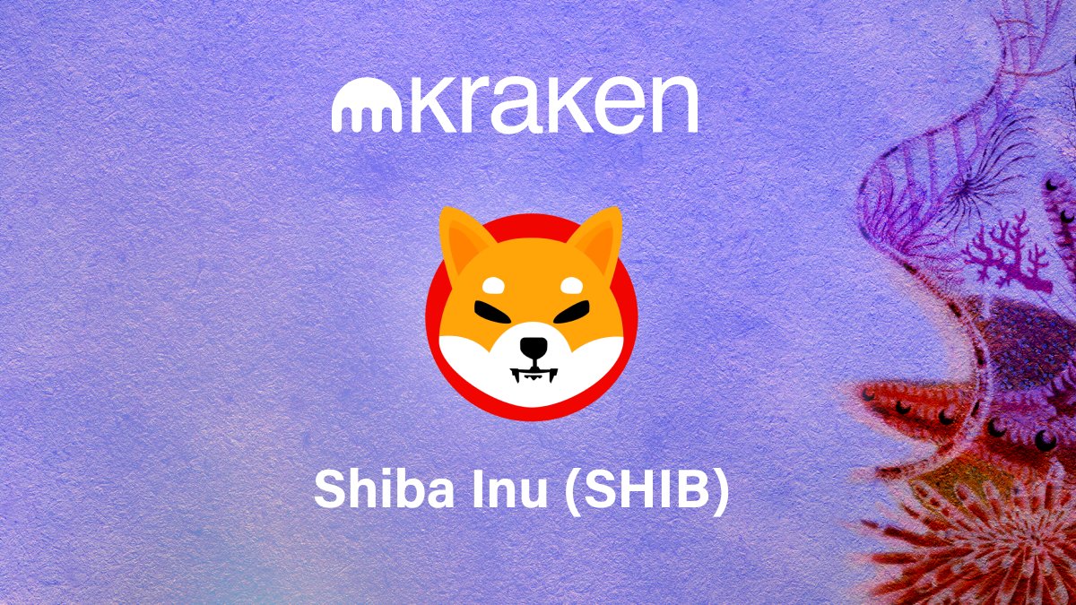 Kraken 總算上架柴犬幣!SHIB 單日漲超過 27%