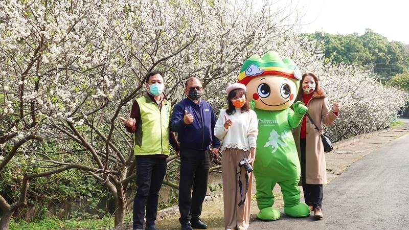 花壇鄉虎山巖李花綻放賞花如賞雪讓人驚豔 奧丁丁新聞owlnews