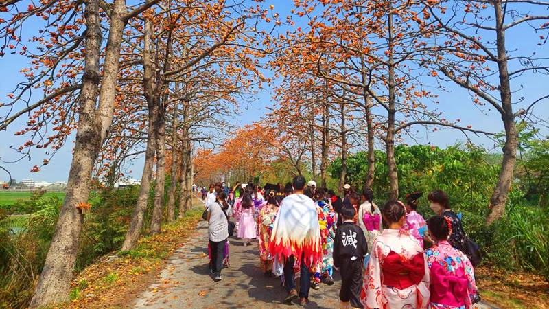 二林好好木棉花季木棉花道踩街齊步走 奧丁丁新聞owlnews