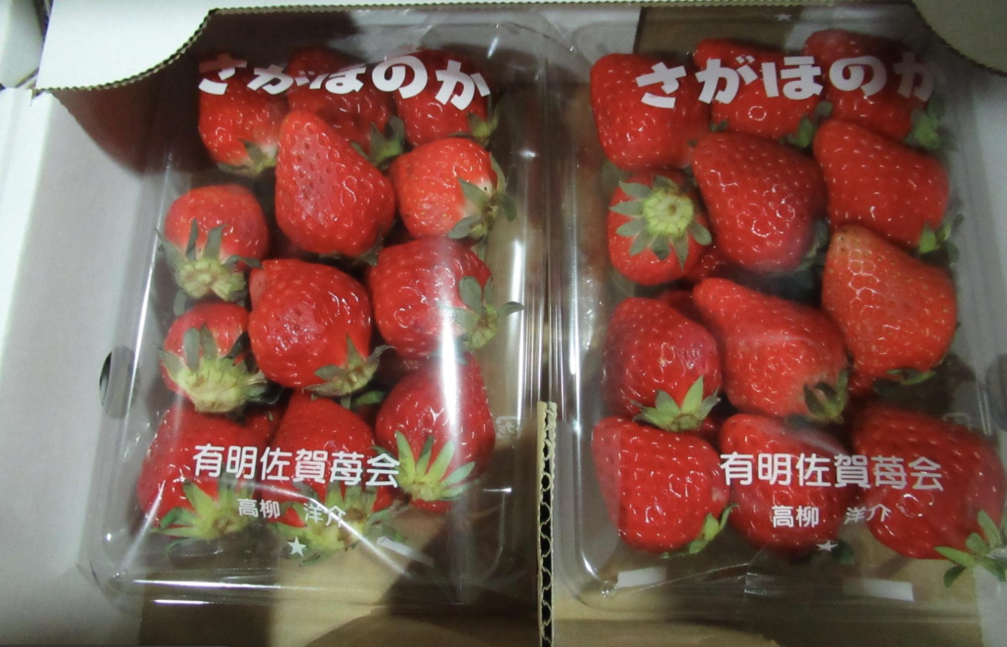 進口食不安!明通製藥上千公斤「中國靈芝」農藥超標 佐賀草莓2批出包