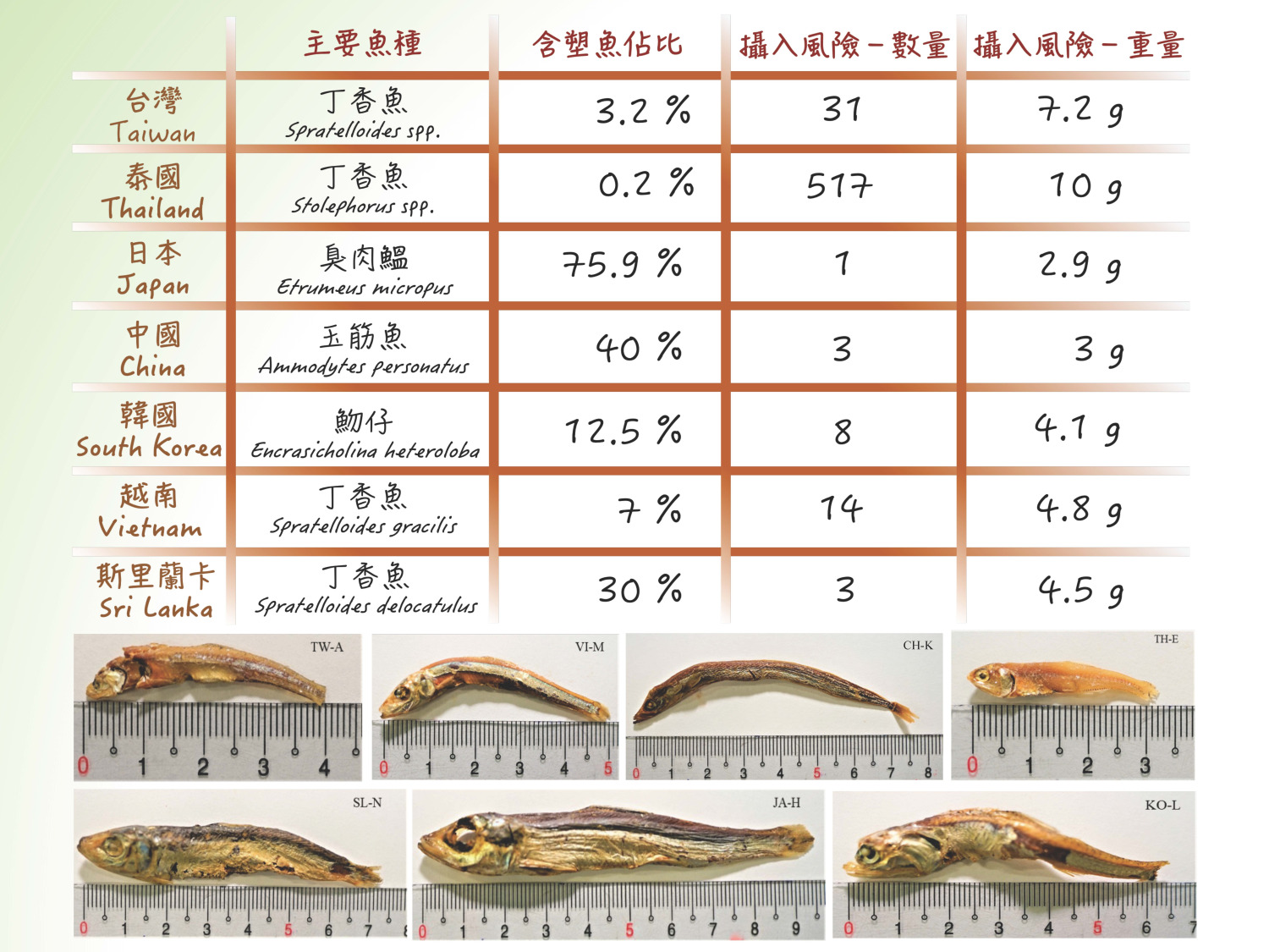 亞洲七國小魚乾驗出微塑膠中山大學研究登國際頂尖期刊 奧丁丁新聞owlnews 亞洲七國小魚乾驗出微塑膠中山大學研究登國際頂尖期刊 奧丁丁新聞owlnews