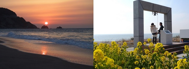 甜度爆表 來去渥美半島田原市採哈蜜瓜順遊戀人聖地 奧丁丁新聞owlnews